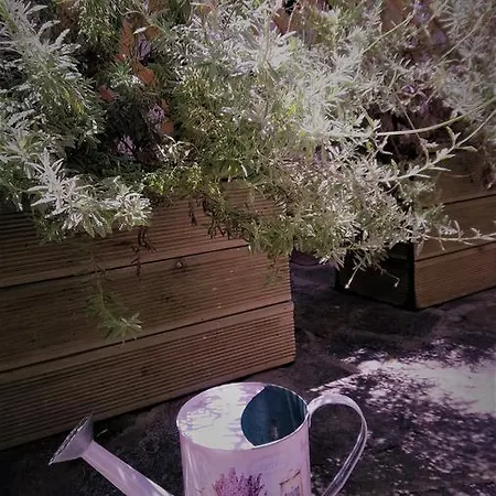Mulberry Apartment *